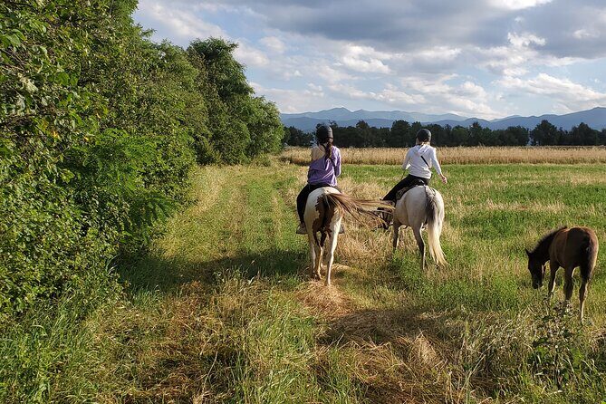 Lori Canyon Vacations - Horseback riding in Lori: instruction first, then fields and the canyon rim