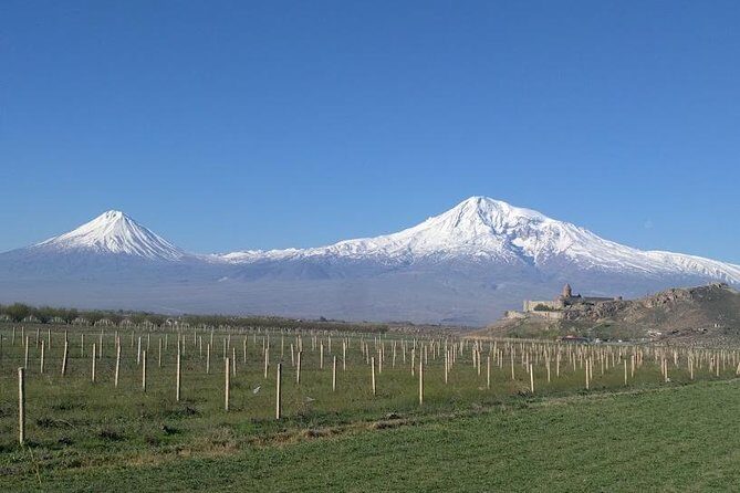 Private day trip to Tatev Monastery and South Armenia - Areni Wine Factory: a quick pour from the village