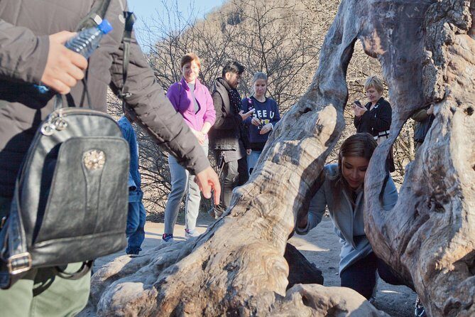 Private Lake Sevan, Sevanavank, Dilijan, Haghartsin, Goshavank Tour from Yerevan - Haghartsin Monastery in the woods: churches, refectory, and an oak you can almost measure
