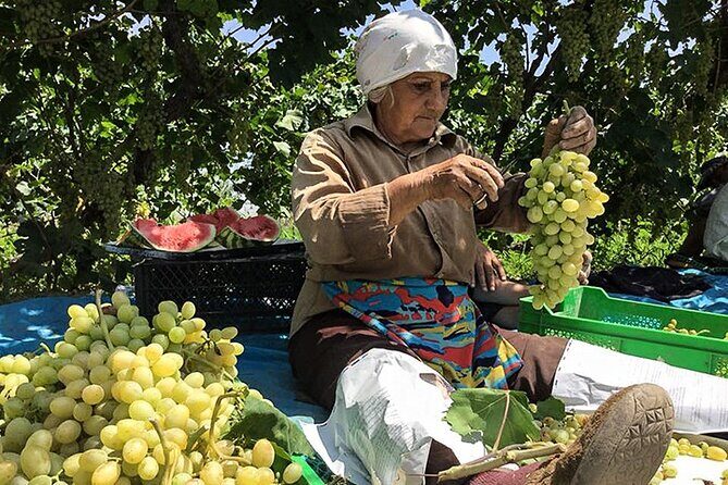 Private tour to Khor Virap, Ararat view - What the tour includes (and what it doesn’t)
