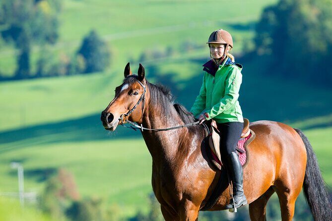 Private tour to Sevan, Dilijan Off-road tour & Horseback riding - Key Highlights You Should Care About