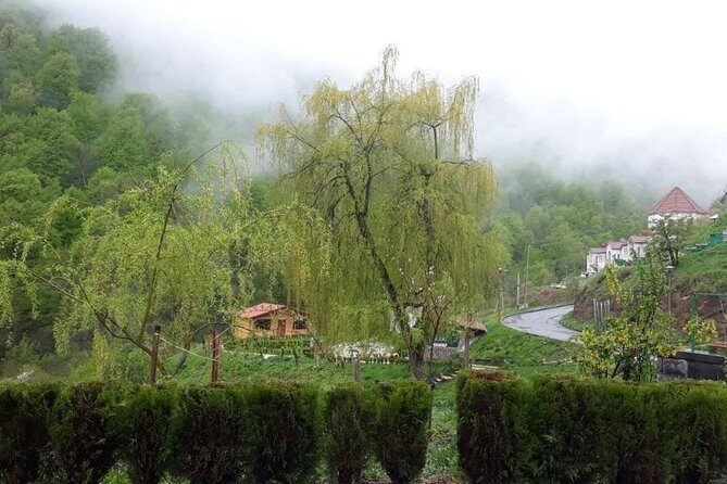 Private Tour: Tsaghkadzor, Sevan lake,Sevanavank, Dilijan, Haghartsin monastery - The guide and driver factor: what makes it feel easy
