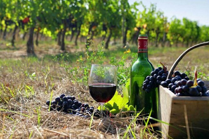 Private wine tour to Khor Virap, Areni winery, Noravank - Key Points That Matter