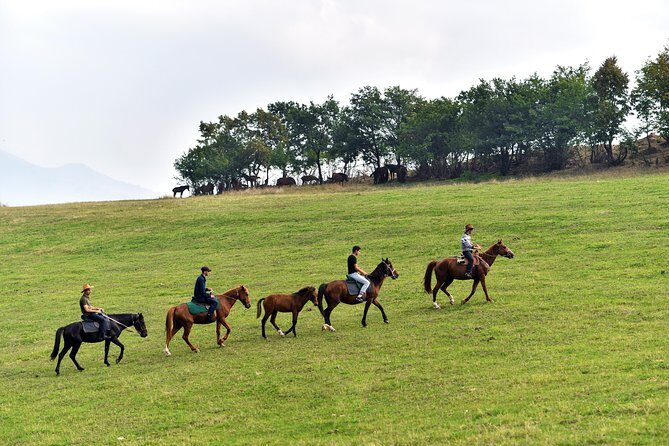 Scenic Trail Rides - Why This Horse Ride Feels Worth Your Time