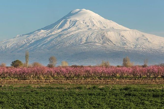 The Great Beauty of Armenia: 7-Day Culture and Cuisine Tour - Matenadaran and Echmiadzin: where faith and memory live side by side