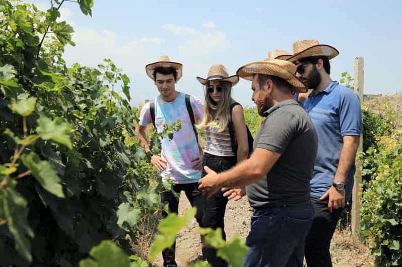 Yerevan: Khor Virap Day Trip with Mount Ararat Wine Tasting - Key highlights to expect