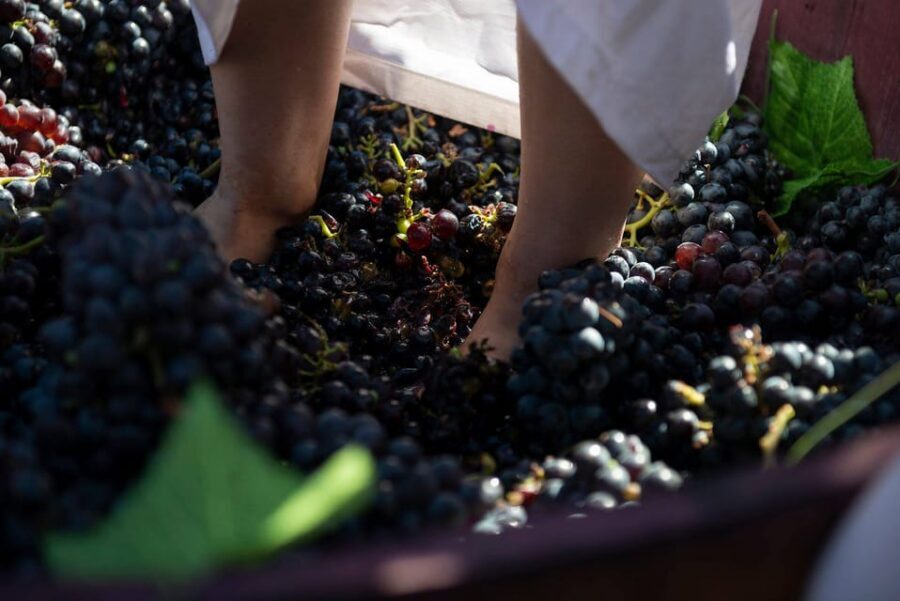 Yerevan: Khor Virap Day Trip with Mount Ararat Wine Tasting - Wine tasting in the fields: the Ararat backdrop makes it special