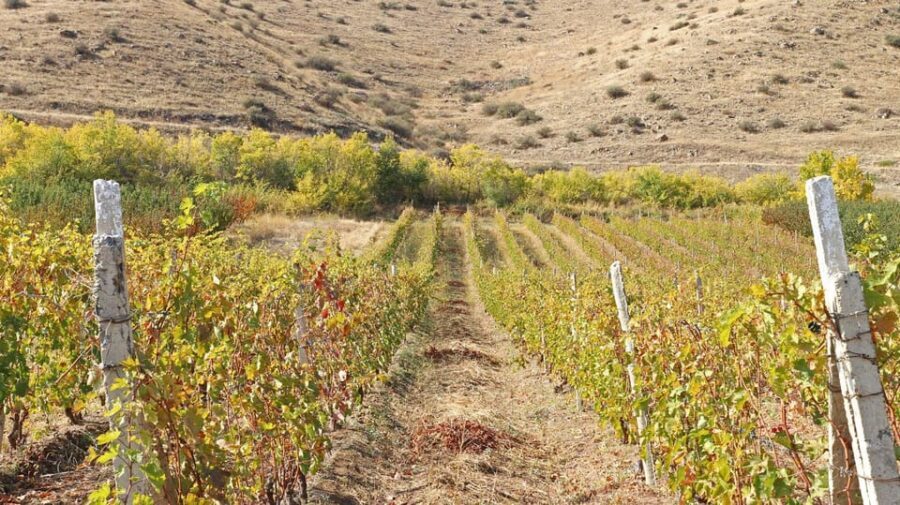 Yerevan: Khor Virap Day Trip with Mount Ararat Wine Tasting - Who this day trip suits (and who should think twice)
