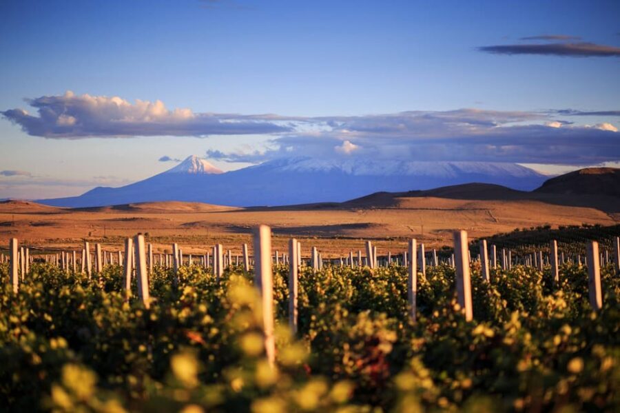 Yerevan: Khor Virap Day Trip with Mount Ararat Wine Tasting - The private car ride from Yerevan (and why it changes everything)